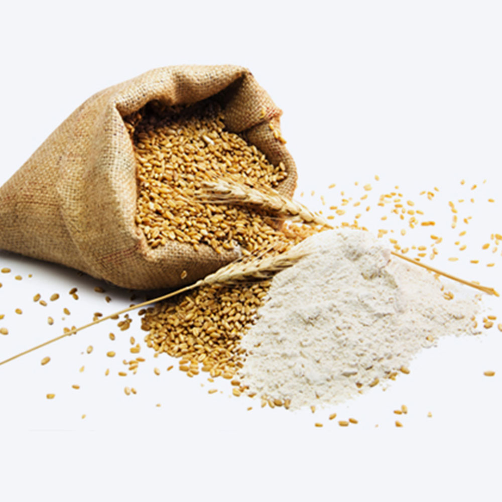 Whole Wheat Flour