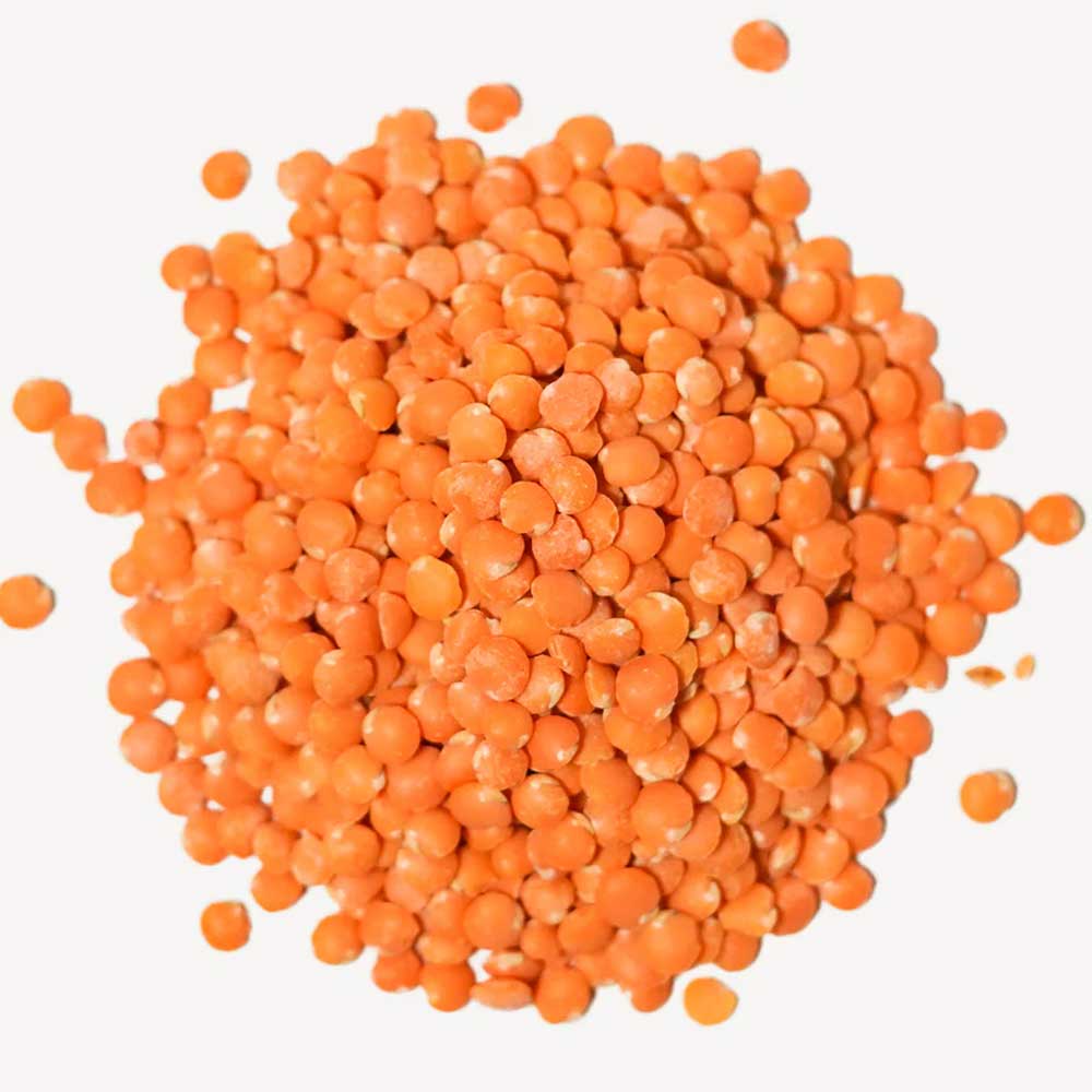 Red Lentil Whole