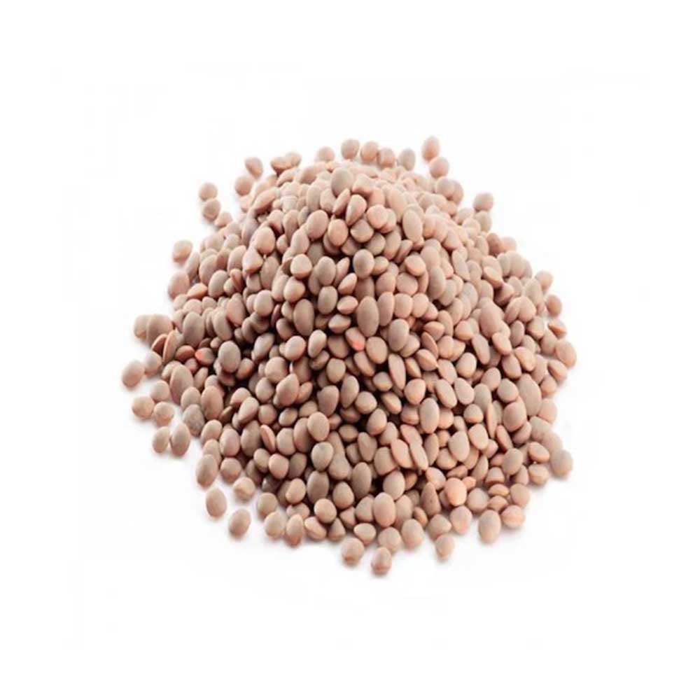 Masoor Dal Whole / Brown Massar Dal