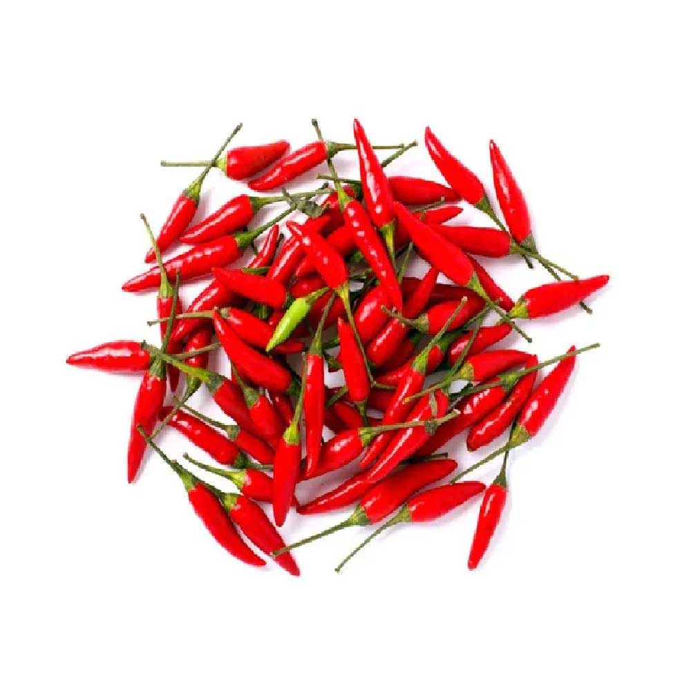 Red Chili