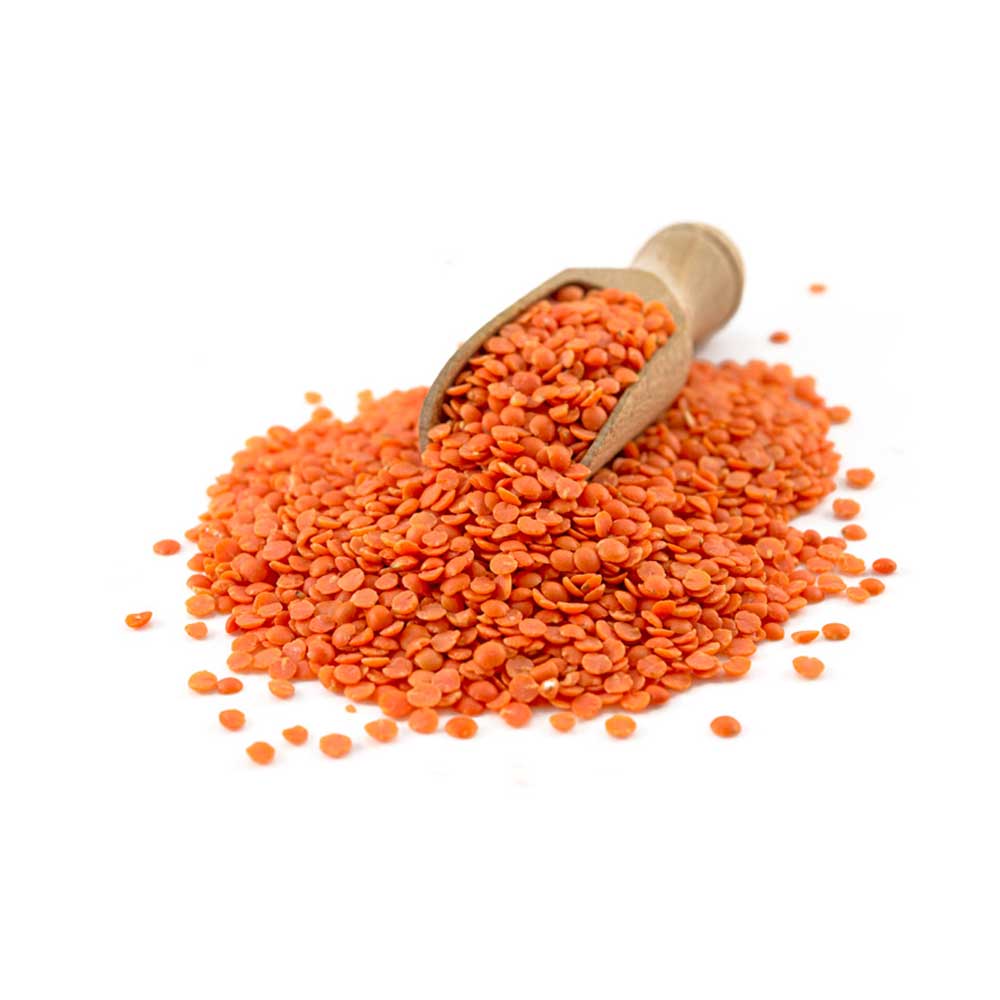 Red Lentil Whole