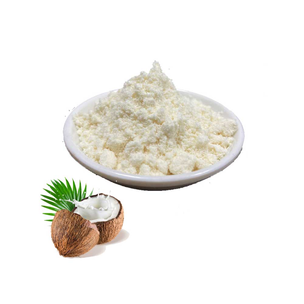 Coconut Milk Powder
