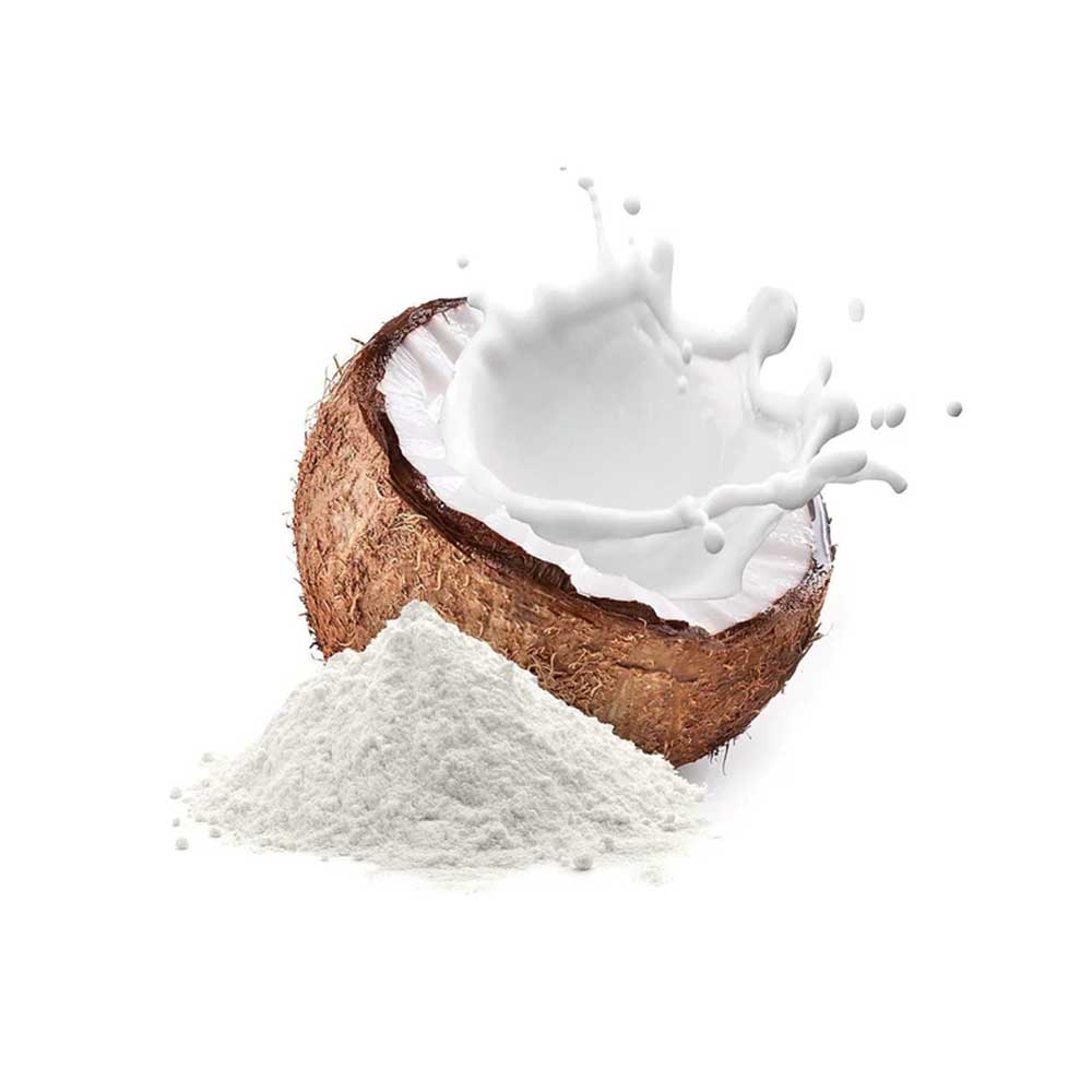 Coconut Milk Powder