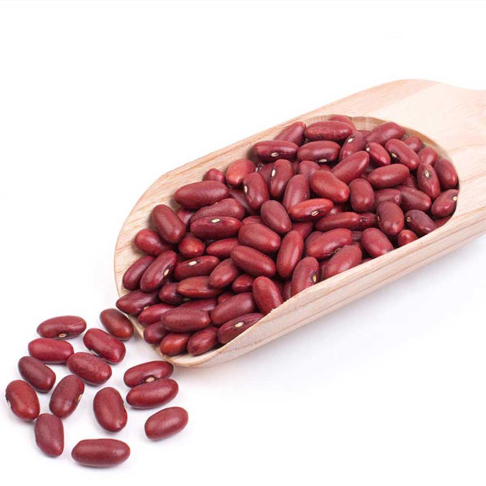 Red Kidney Beans / Red Lobiya / Rasma