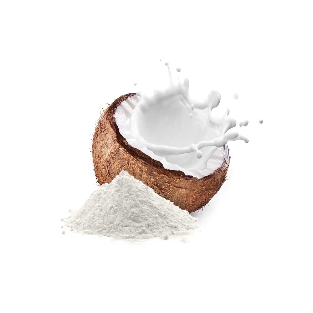 Coconut Milk Powder