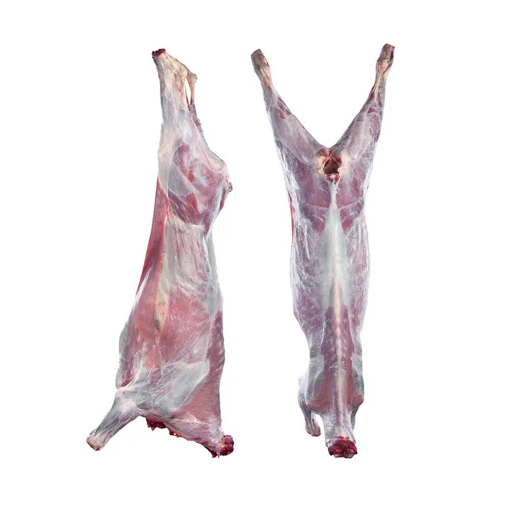 Whole Lamb