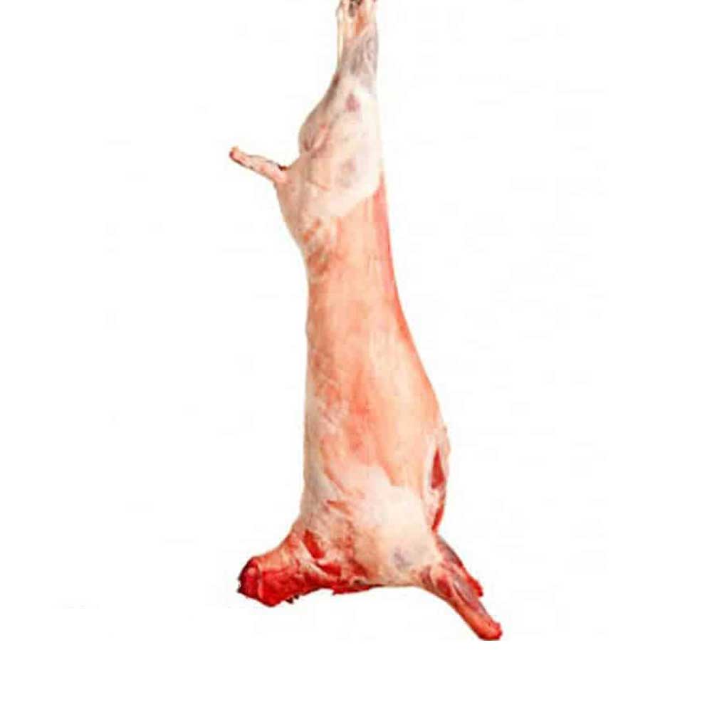 Whole Lamb